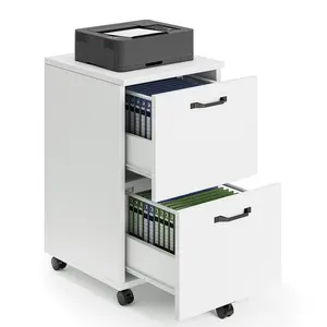 2 Drawer Rolling File Cabinet with Lockable Wheels, Mobile Printer Stand with Storage, Steel Frame, 1 Set