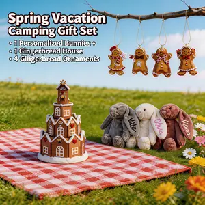 Spring Camping Gingerbread Gift Set: Resin Gingerbread House + 4PCS Gingerbread Ornaments + Personalized Plush Bunny