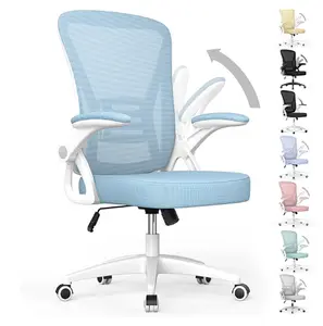 Adjustable Height Office Chair, Swivel Chair with Flip Armrests and Lumbar Support, Breathable Mesh Computer Chair for Home/Study/Work
