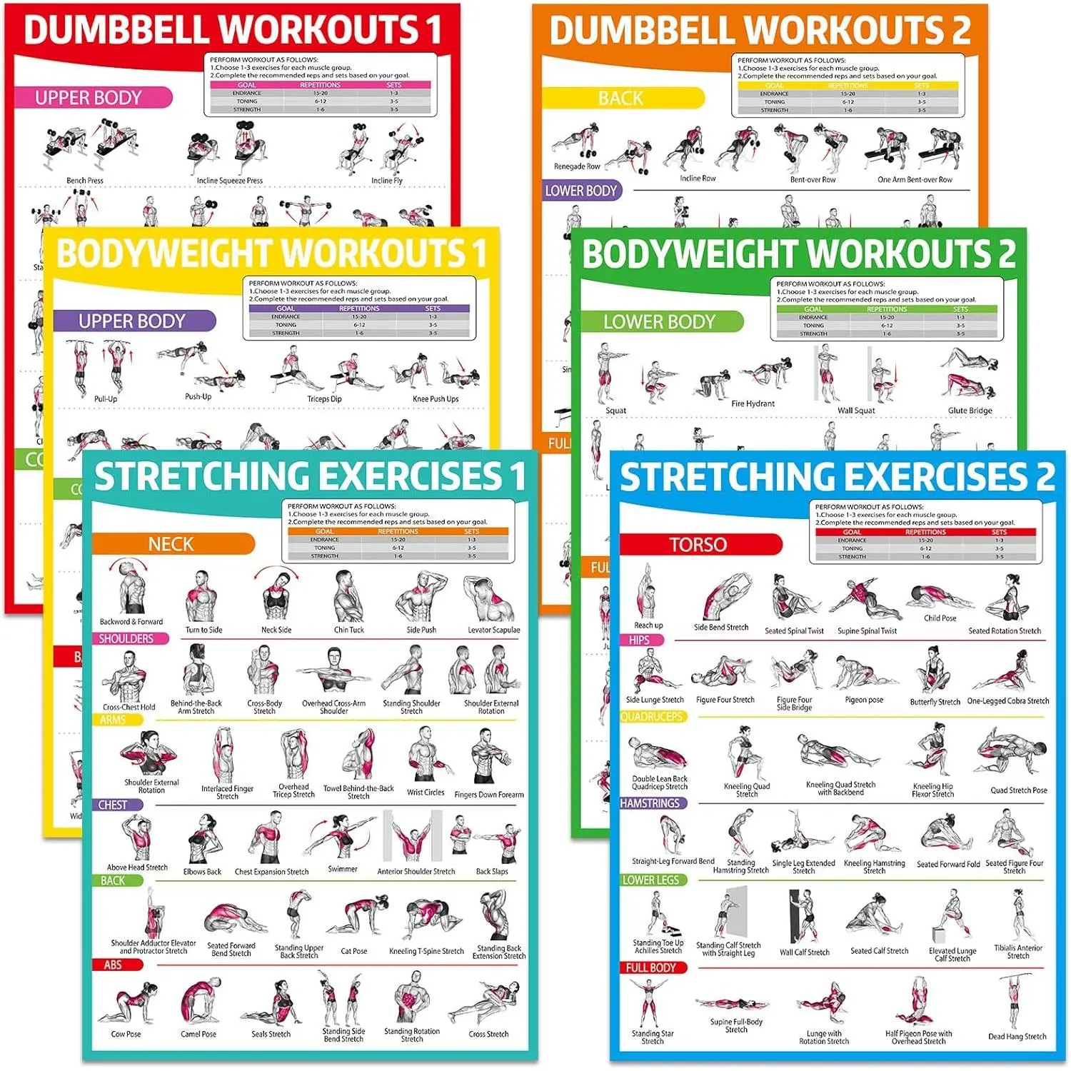 Workout Posters 6-Pack for Home Gyms - Illustrated Dumbbell, Bodyweight & Stretching Exercise Charts with Vibrant Print on Glossy Paper, English Guides for All Levels, 17X12.6 Inches, 2 Sheets Adhesive Dots, Exercise Guides