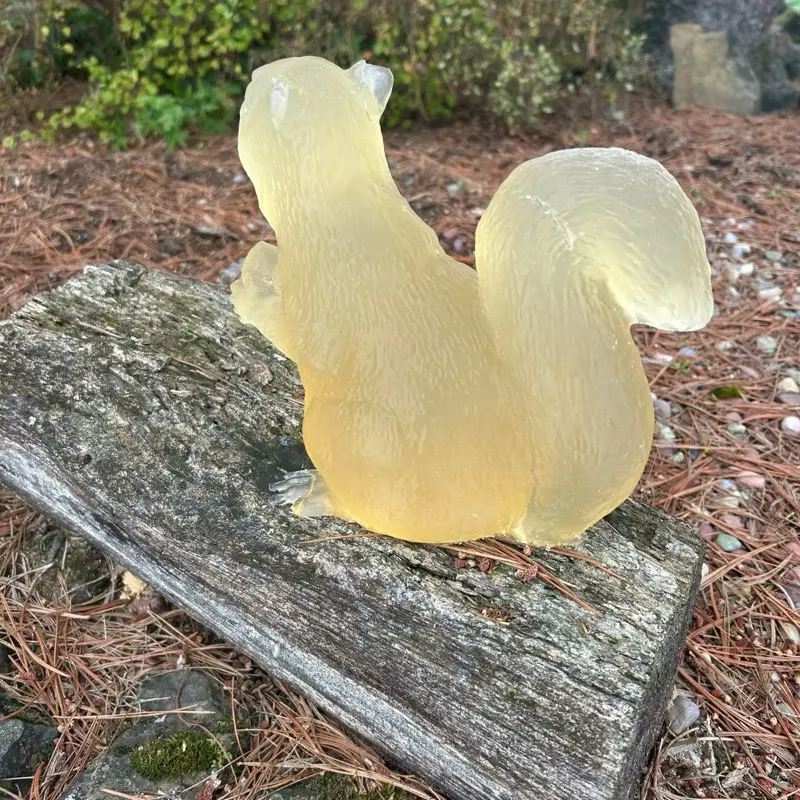 Ballistic Gel Squirrel Target - TikTok Shop