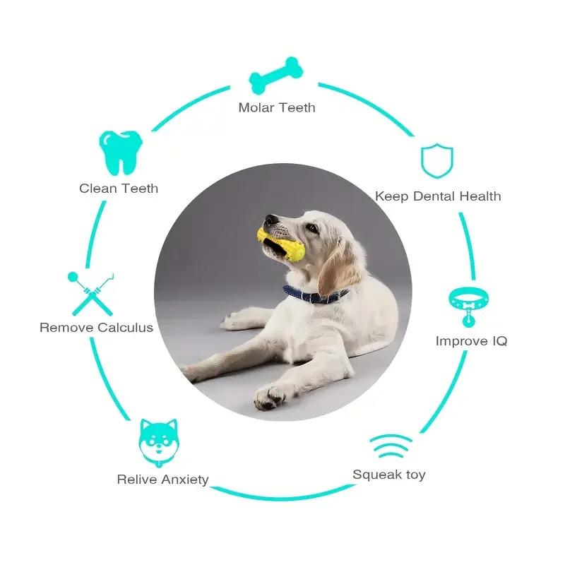 3-in-1 Set Dental Chew Stick Cooling Toothbrush Toy Freezable Ice Chew Toy For Gum Massage Small Medium Breeds Outdoor Bungee 1-Pack 3-in-1 Set Dental Chew Stick Cooling Toothbrush Toy Freezable Ice Chew Toy For Gum Massage Small Medium Breeds Outdoor Bungee 1-Pack