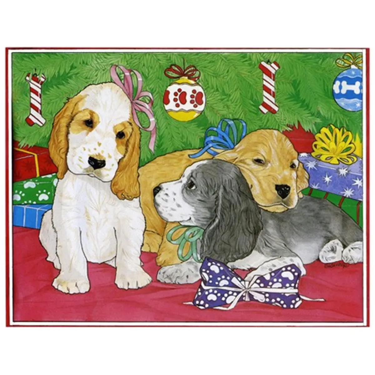 Pipsqueak Productions Quality Holiday Boxed Cards - English Cocker Spaniel Mix Design, 12 Sets Office Stationery Supplies, Great Card Gift with Wonderful Ideas