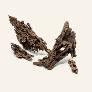 Dragon Wood Dragon Wood