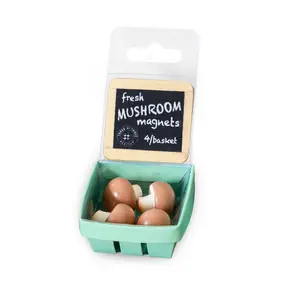 MUSHROOM magnets ICONIC packaging