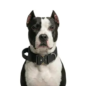 Tactical Dog Collar Heavy Duty Adjustable Training Collar for Medium and Large Dogs - Durable Quick Release Buckle Multiple Colors