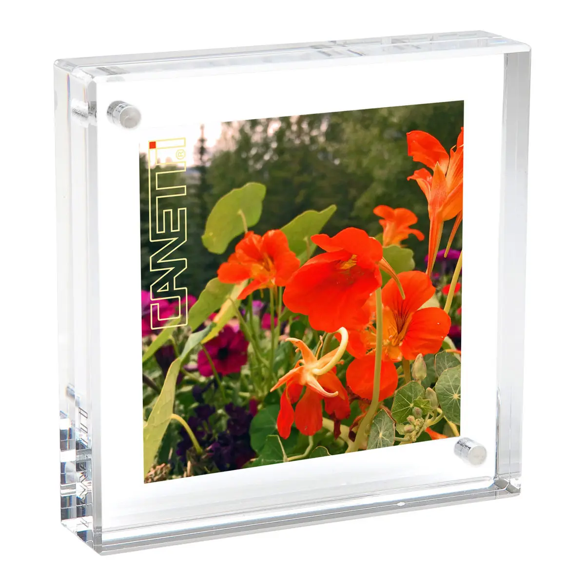 Canetti Original Magnet Frame, 6x6", Clear