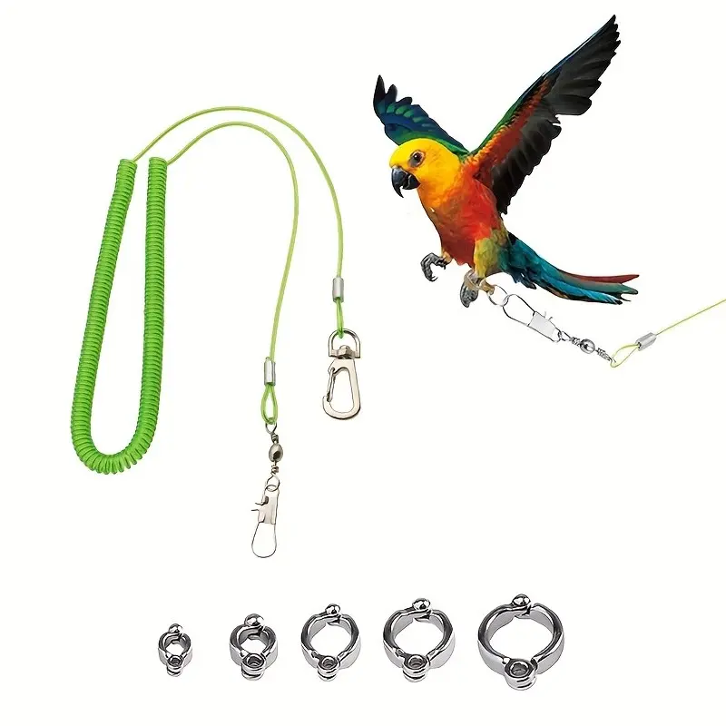 Retractable Bird Harness and Leash with Anti-Bite Ankle Chain, 5 Sizes for Parrots, Cockatiels, Lovebirds, Conures, Stainless Steel