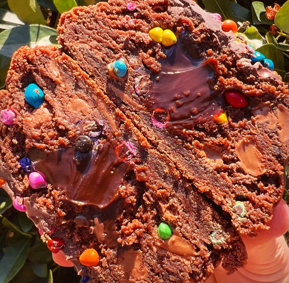 Cosmic Brownie
