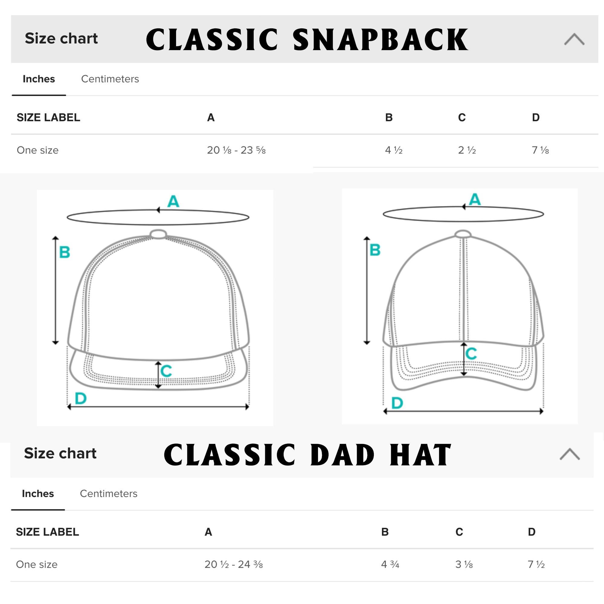 Anti Trunp Embroidered Hat, Resist, Anti Maga Trmp Merch 24, f.d.t Baseball Hat, Funny Tr.u.m.p Political Hats, Political Merch