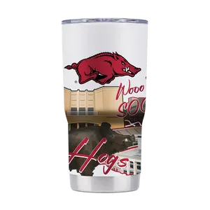 Arkansas 20oz Campus Icons Tumbler
