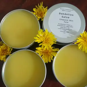 Dandelion Salve Body Care Remedy Comfort Oil Dandelion Salve Body Care Remedy Comfort Oil