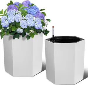 2 Pack Plant Pots 16 Inch Tall Self Watering Pots with Wheels Water Level Monitor  Drainage Hole Outdoor Planters Flower Pot for Patio Balcony Garden Home