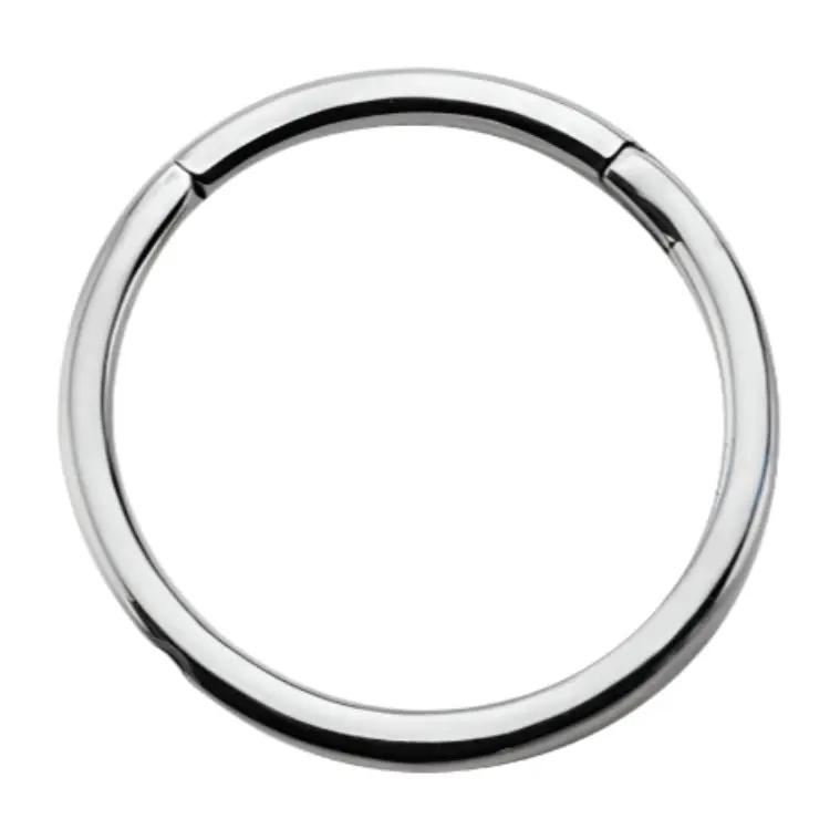 Hinged Stainless Steel Segment Hoop Ring, Hoop Ring Piercing Jewelry for Body Jewelry Enthusiasts