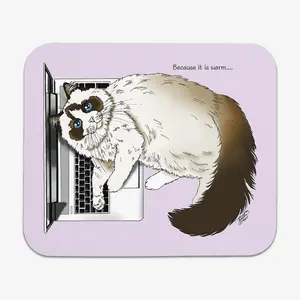 Laptop Cat Mousepad