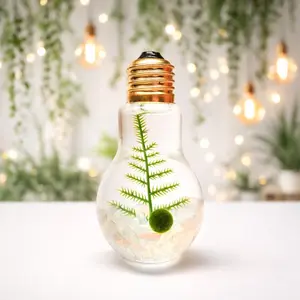 Light Bulb Terrarium with Nano Marimo Moss Ball Pet Light Bulb Terrarium with Nano Marimo Moss Ball Pet