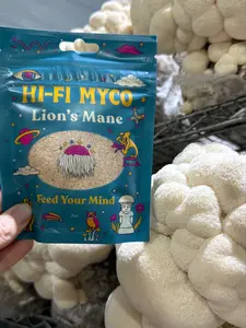 Lion’s Mane Mushroom Powder – Gourmet Culinary Ingredient – 2oz