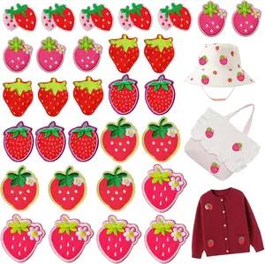 30 PCS Strawberry Iron on Patches Cute Red Strawberry Embroidered Applique Decorative Patches for DIY Sew on/Iron on Clothes Dress Coats Hat Socks Shoes Backpacks Bag DIY Accessories