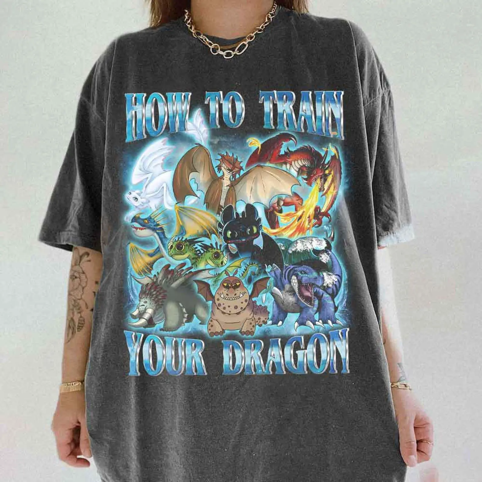 How To Train Your Dragon shirt, Toothless And Light Fury Shirt, Dragon Characters Shirt, Epic Universe Trip Toothless Friend Shirt