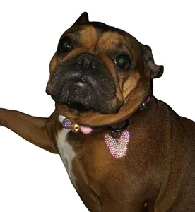 Rhinestone Frenchie Dog Tag | Crystal French Bulldog Head | Bling Collar Charm | Diamond Frenchi Face ID Tag | Flossy Dog Exclusive Design