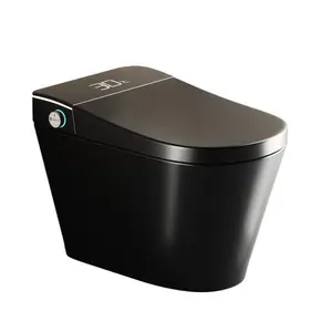 Bellemave  Unique Smart Toile, One Piece Toilet with Bidet Built In,Intelligent Toilet Auto Open/Close Seat. Bidet toilet with Dryer and Warm Water