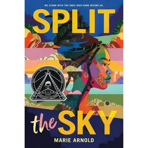 Split the Sky (Coretta Scott King Author Honor Title)