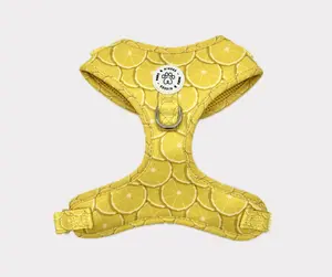 Lemon Drop - Adjustable No Pull Harness