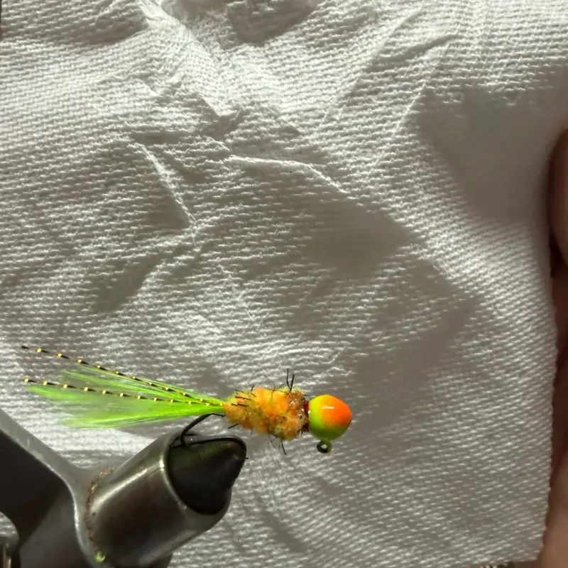 Cajun cricket