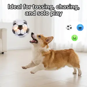 Interactive Pet Disc Toy - Squeezable, Light-Up, Bouncy, Interactive Training Ball for Tossing, Chasing