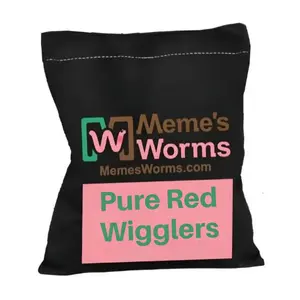 Pure Red Wiggler Composting Worms For Sale