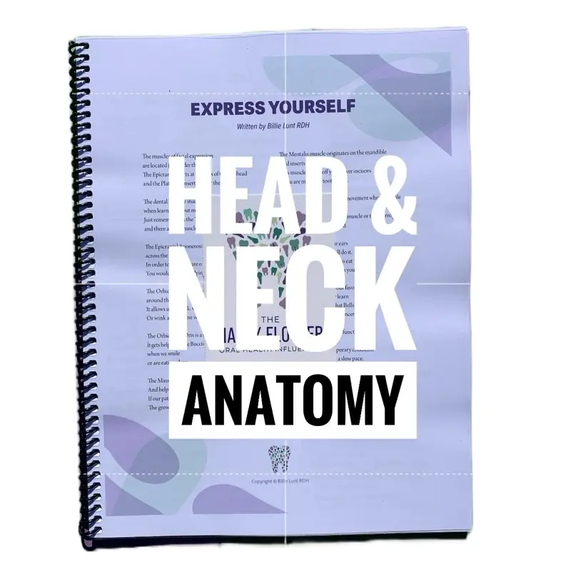 Oral Head and Neck Anatomy Workbook - Handwritten Anatomical Study Notes for Medical Education, Covering Muscles, Histology, Embryology, Lymphatic System, Cranial Structures, Cranial Nerves, Arterial Blood Supply