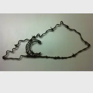 Kentucky State Barbed Wire art