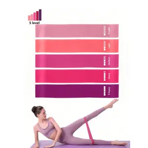 5-Piece Gradient Resistance Band Set, Weight Training Bands, Fitness Hip Bands, Outdoor Yoga Elastic Bands, Workout Bands, Home Gym Equipment, Durable Stretching Band