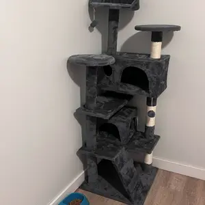 review image 8