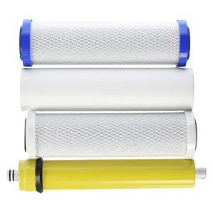 IPW Industries Inc Watts Premier WP4-V Filter Annual Bundle (24 GPD)