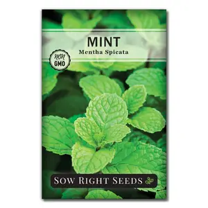 Mint Seeds
