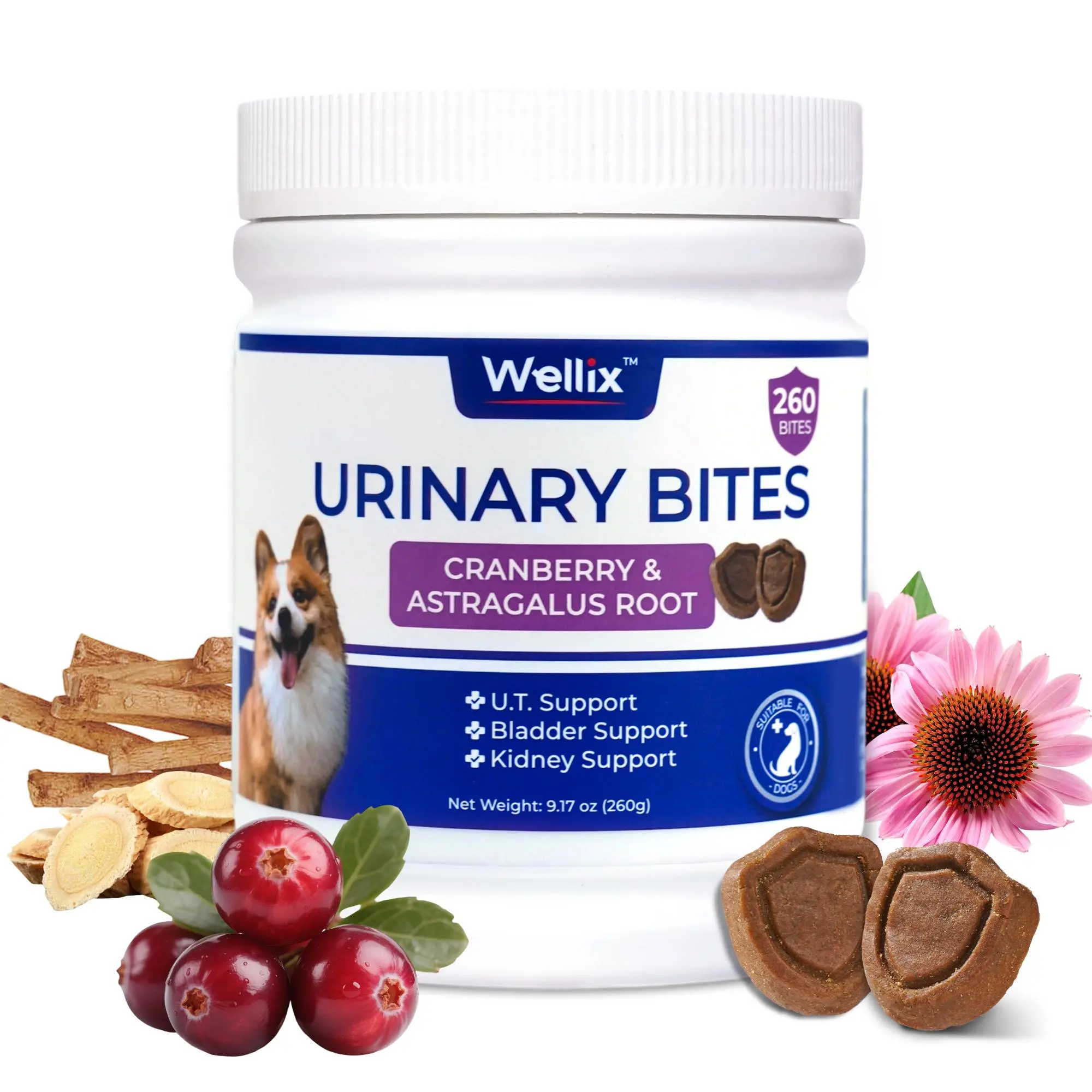 1 Urinary Bites
