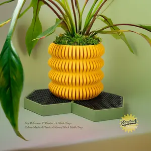 Water Humidity Tray for Houseplants, Includes Pebbles