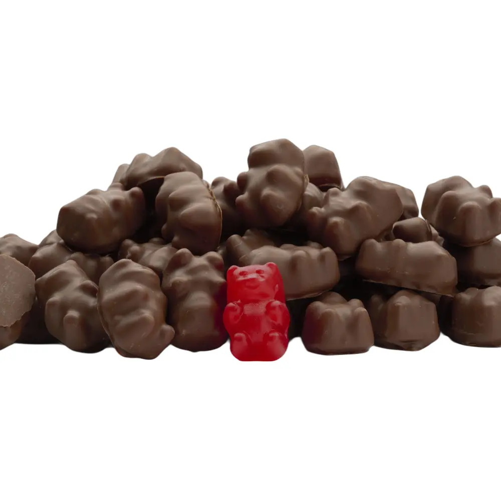 Chocolate-Covered Cinnamon Bears