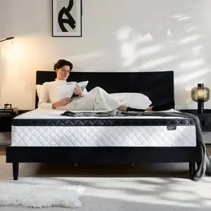 Bezzze 12" Queen OrthoHarmony Hybrid Mattress with 7-Zone Spine Alignment - Features Ultra-Quiet Motion Isolation, Eco-Friendly Materials, a 120-Day Defect Warranty, and 10-Year Support Guarantee.