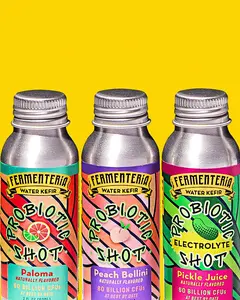 Fermenteria Organic Water Kefir Variety Pack - 60B CFU Probiotic-Rich, Vegan GF, 2oz Room-Temp Fizzy Fruit Soda Beverage Shots, 2-Pack Assorted Flavors