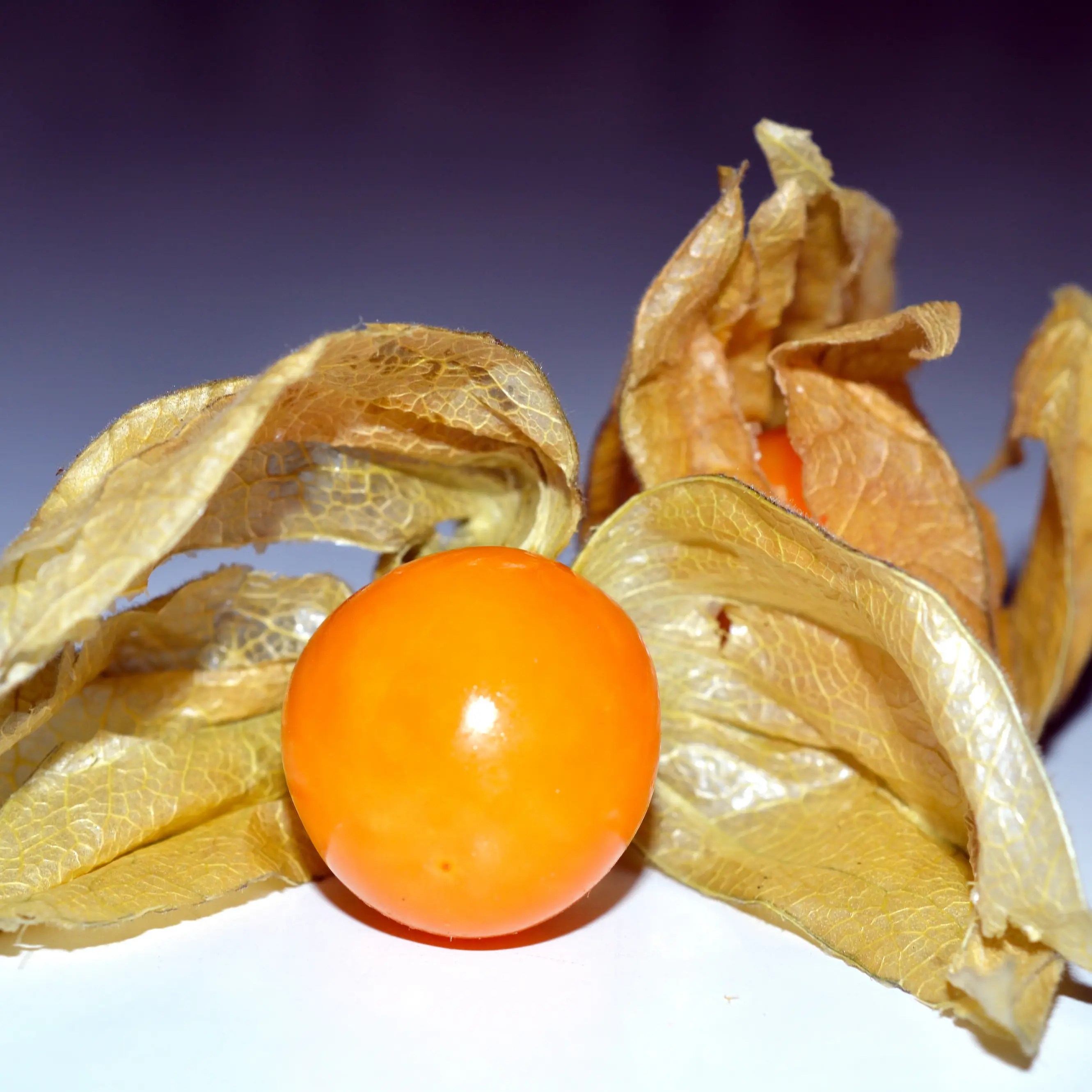 Organic Pineapple Tomatillo Seeds (Physalis philadelphica) – Sweet and Fruity Flavor, Perfect for Salsas and Fresh Eating – 15+ Seeds