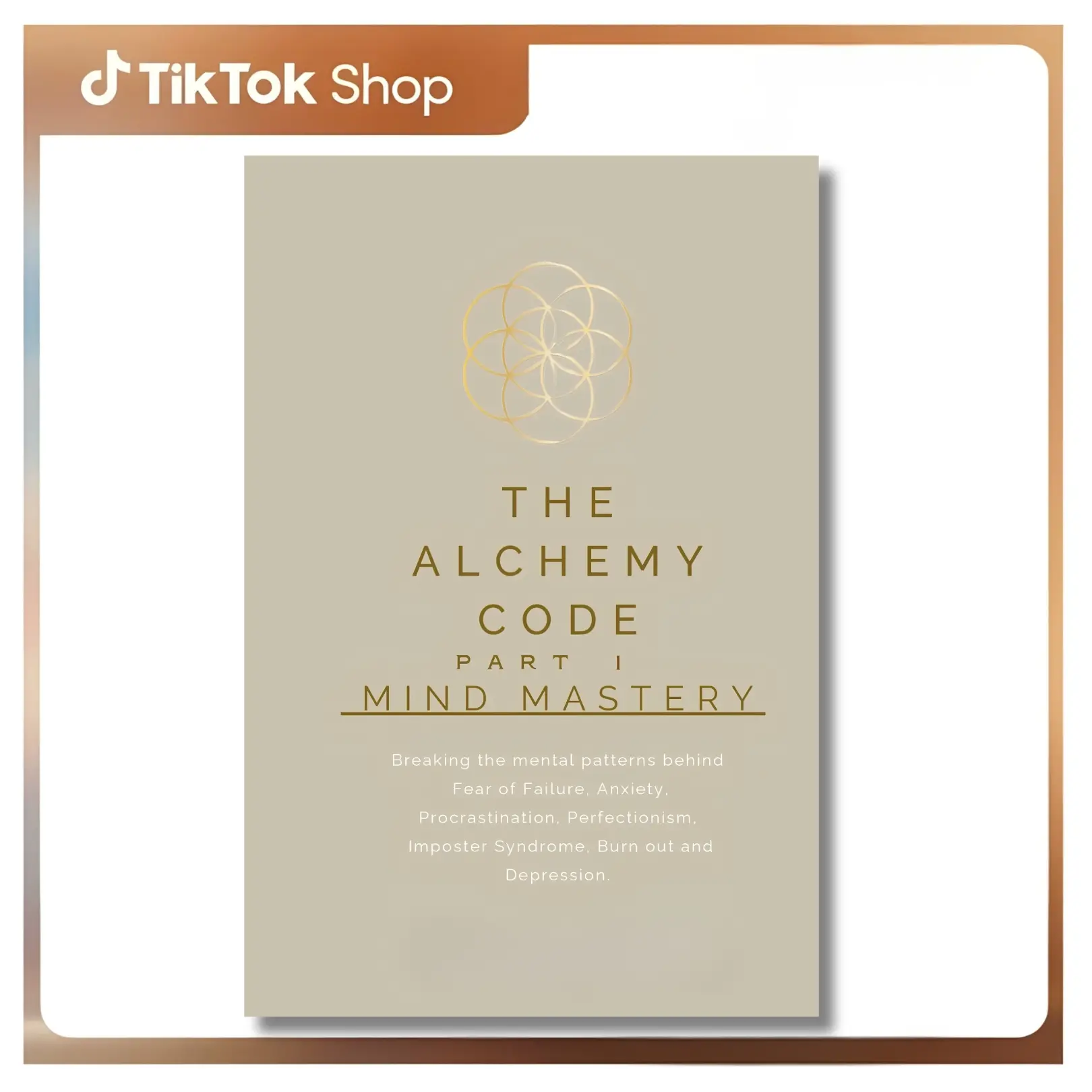 The Alchemy Code Part 2 - Mind Mastery: Breaking Mental Patterns Behind Fear of Failure, Anxiety, Procrastination, Perfectionism, Imposter Syndrome, Depression, Stress & Burnout (Career & Self-Help Paperback for Stress & Mood Support) by Danielle Stotijn,