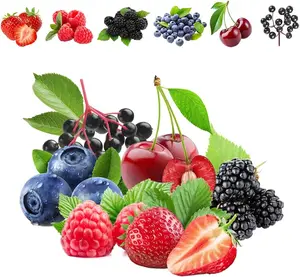 Mixed Fruit Seeds 1000pcs - Strawberry, Raspberry, Mulberry, Blueberry, Chokecherry & Cherry Individually Packaged for Home Gardens & Greenhouses