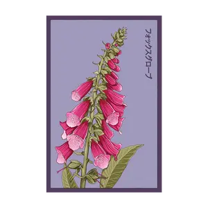 Foxglove Flower Seeds Packet