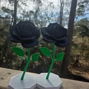 Black roses