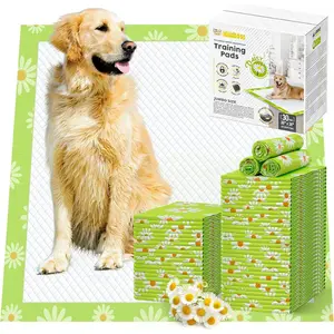 Pads  36x36in Daisy , Puppy Pads with Adhesive Tabs Super Absorbent Up to 11 Cups, Disposable (30 Counts)