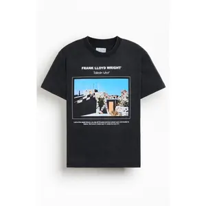 PacSun Men's Frank Lloyd Wright West T-Shirt - Multicolor