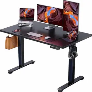 HUANUO ERGEAR Electric Height Adjustable Standing Desk, 48'' x 24" Stand up Desk, Load Up to 176 LBS Modern Computer Desk, Ergonomic Desk with Memory Preset, Charging Dock Not Included desk modern, adjustable desk large space