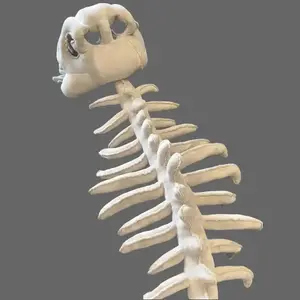 Dinosaur Skeleton Head Plush Toy, Dinosaur Bone Hat, Creative Kids' Animal Toy